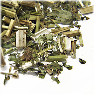 곽향[ 藿香 ]Cablin Potchouli Herb, Herba Pogostemonis, Wrinkled Gianthyssop Herb