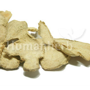 건강[ 乾薑 ] rhizoma zingiberis/Dried Ginger